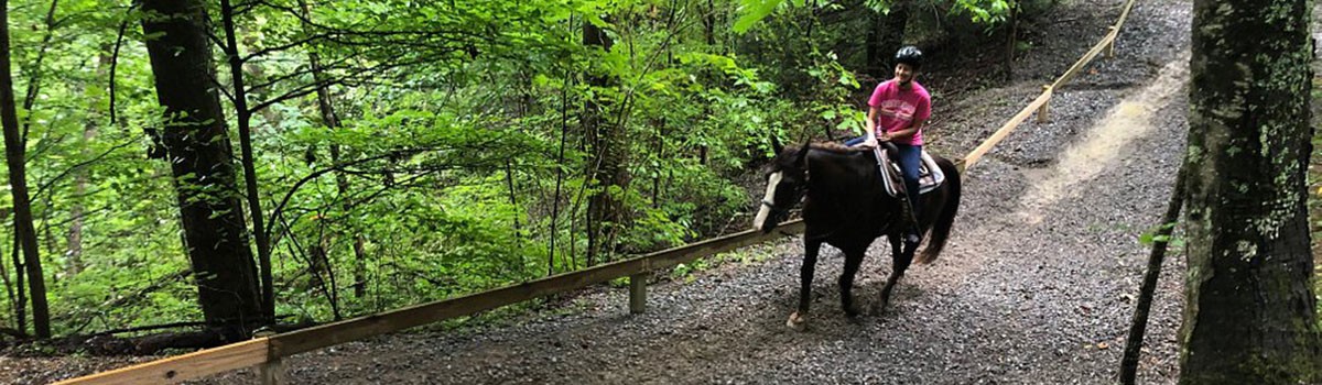 a man on horseback riding on the mountain trail