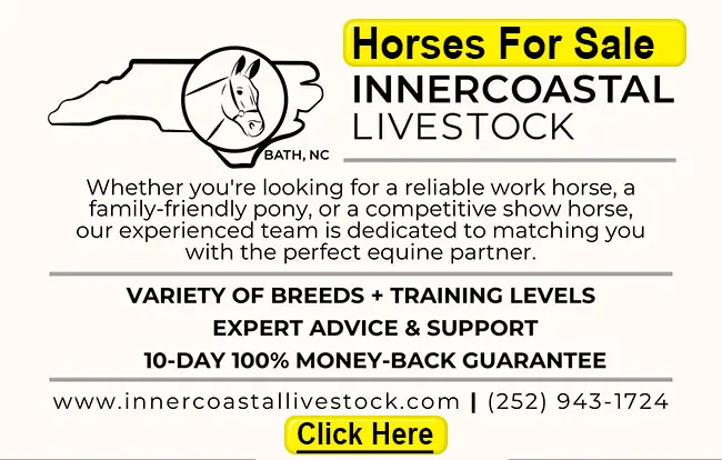 check out Innercoastal Livestock