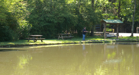 Big Rock Dude Ranch - Fishing Pond