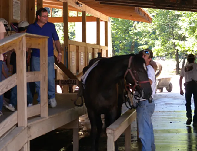 horse loading area