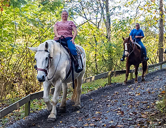 horses on the trail