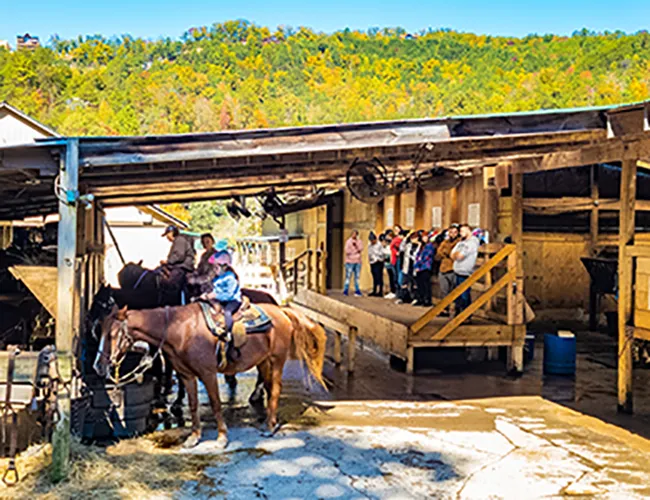 trail staging area