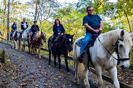 Horseback riding store smoky mountains