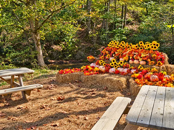 picnic tables and some fall display