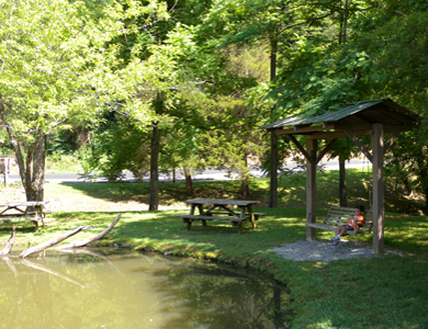 picnic tables near the pond
