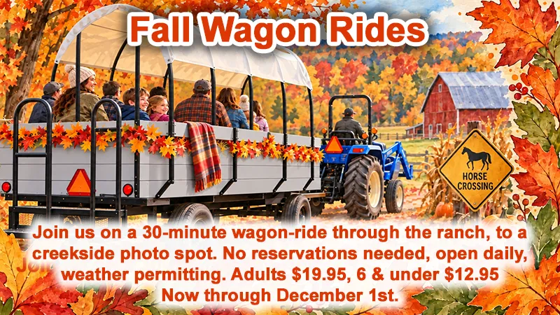 people on a wagon ride in the fall